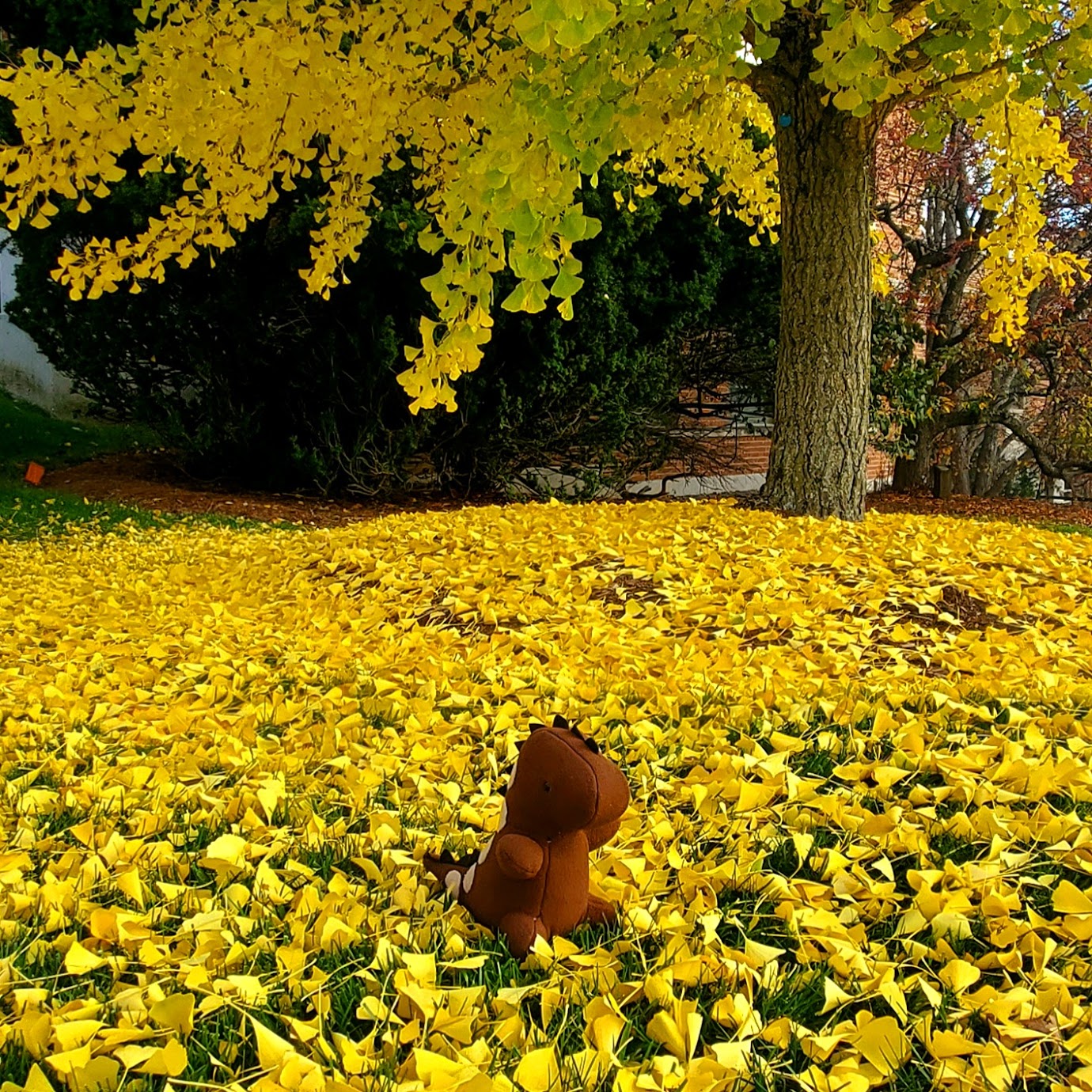 The Original Custom Dinosaur