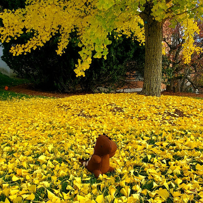 The Original Custom Dinosaur