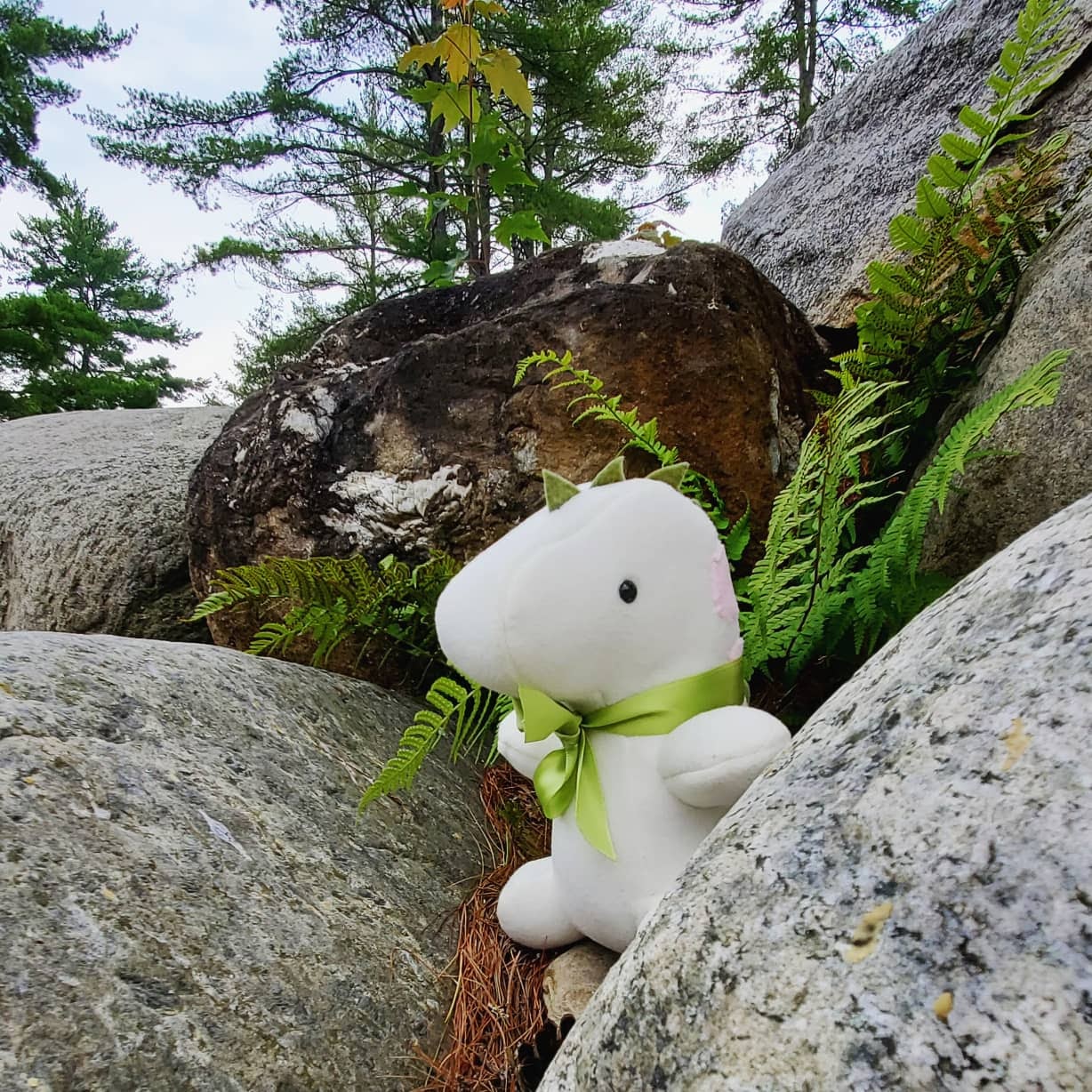 The Original Custom Dinosaur