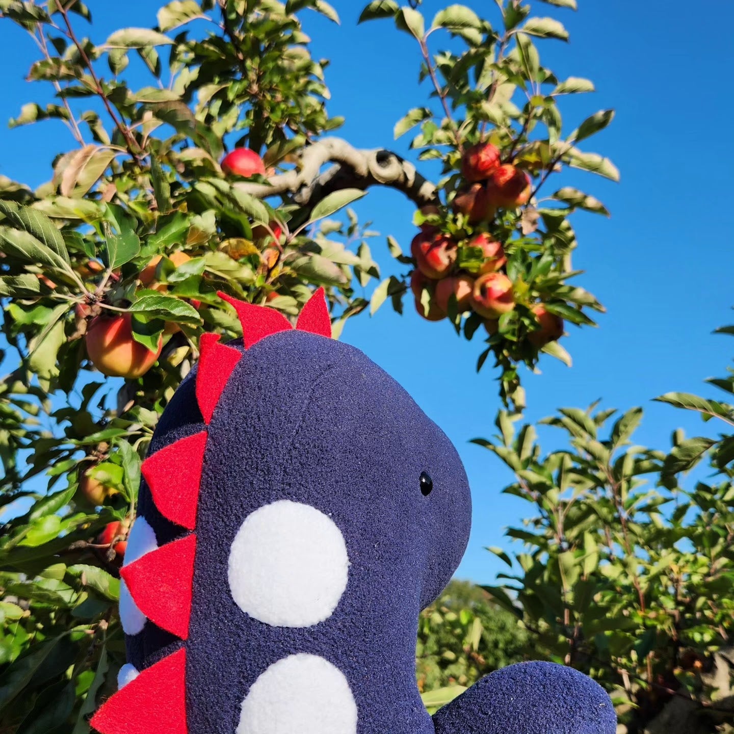 The Original Custom Dinosaur